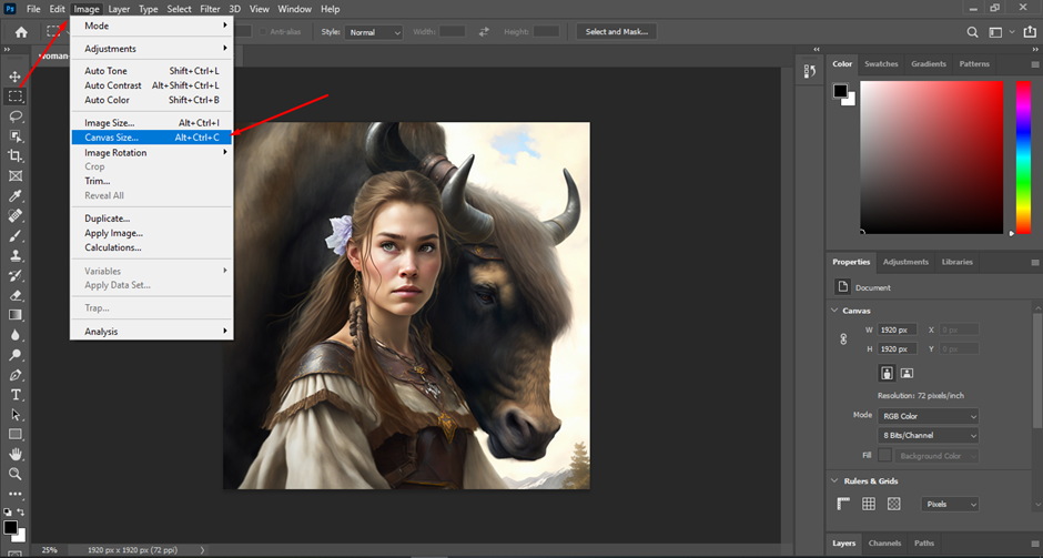 Canvas Size dialog box