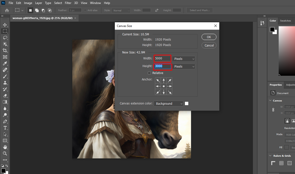 Canvas Size settings