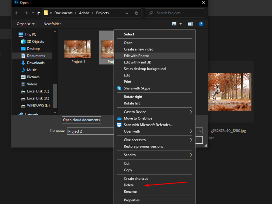 choose project for deletion 