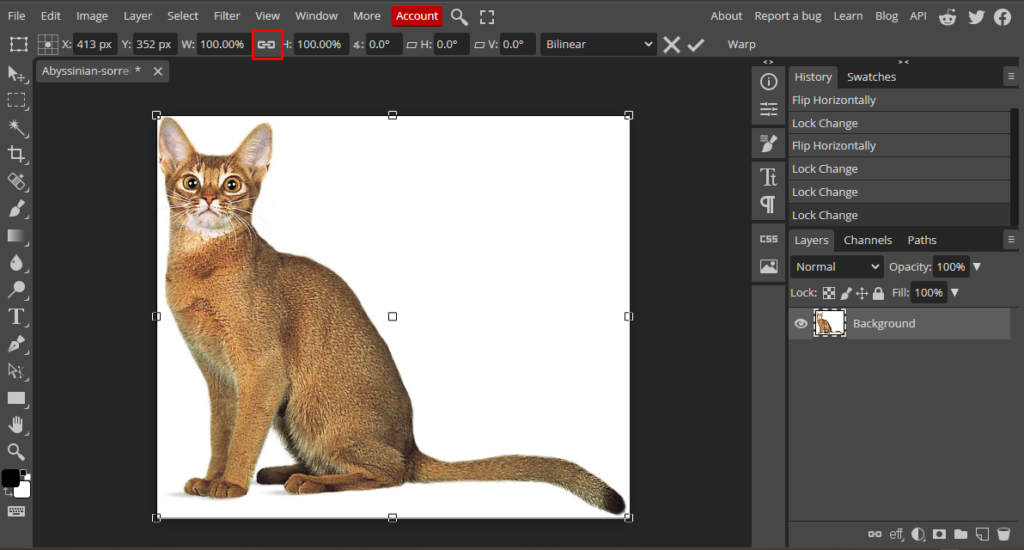 image background Photoshop