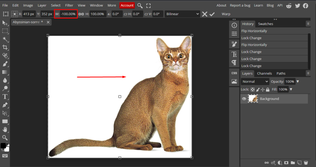 modify image size Photoshop