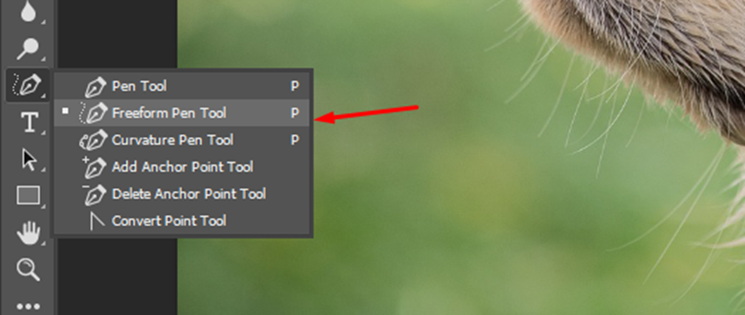 Pen tool options
