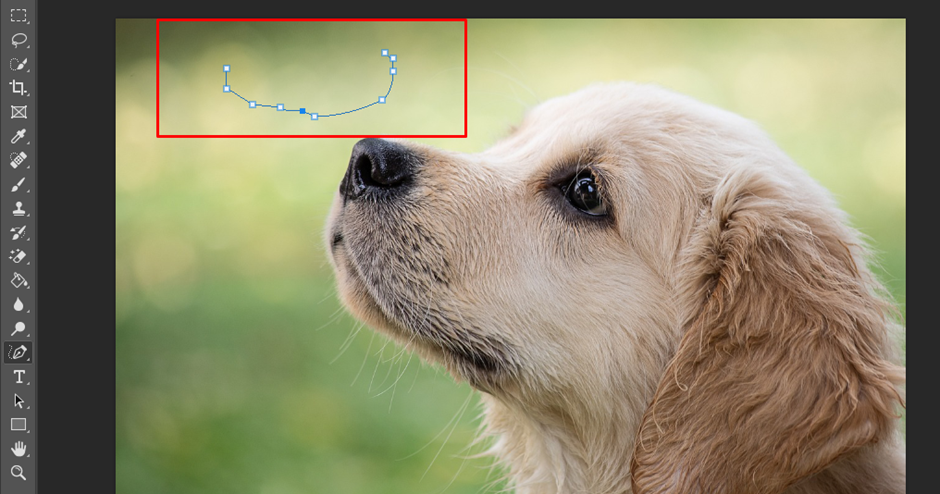 create curved line