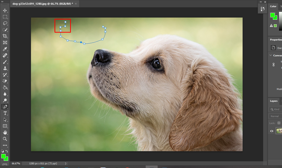 create precise curve line