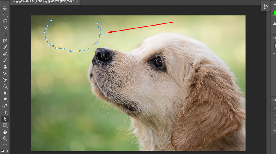 curved line