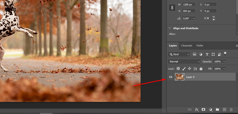click on layer