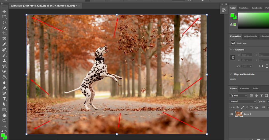 bounding box
