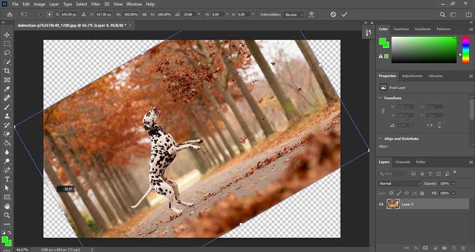 image rotation 