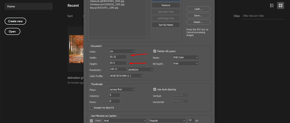 contact sheet image size