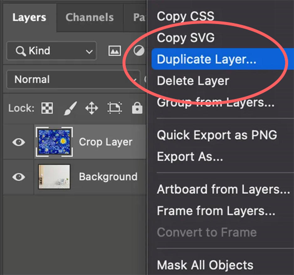 duplicate layer