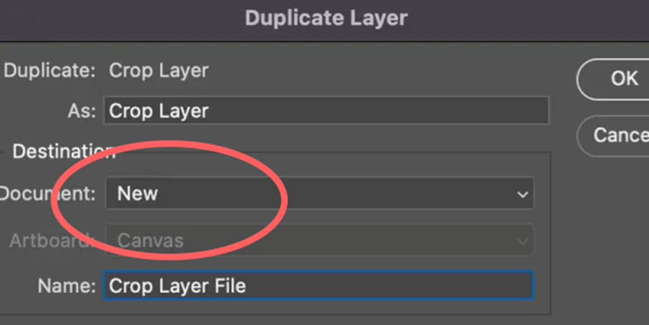 select duplicate layer