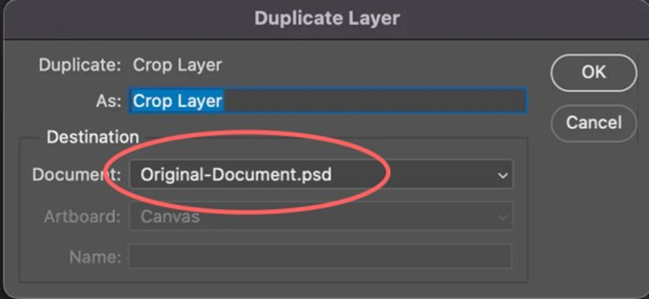 name the cropped layer 