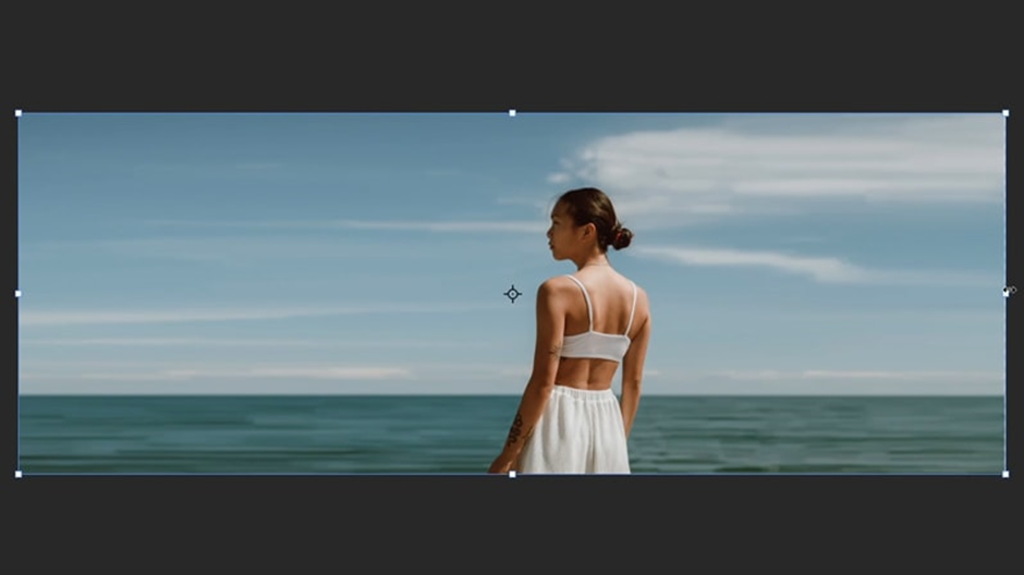 scaled backdrop