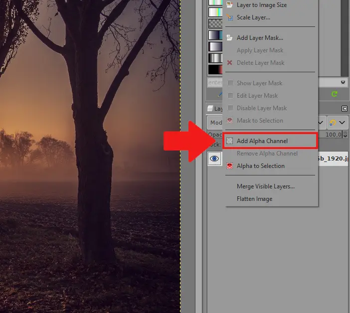 Add Alpha Channel GIMP 