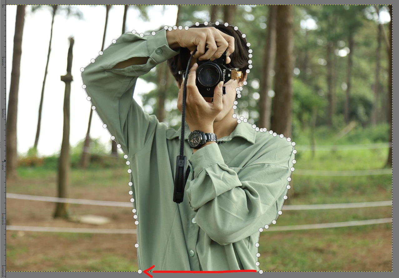 GIMP Image selection 