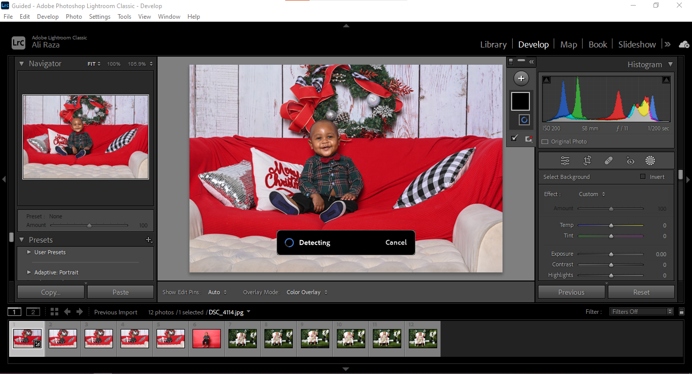 Lightroom Background Options