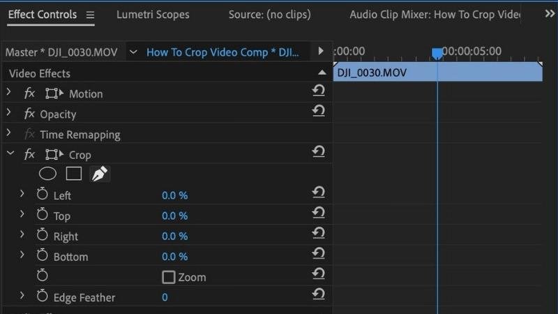Premiere Pro Crop settings