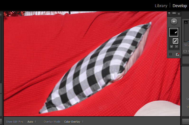 Blurred Lightroom Photo