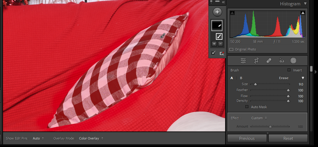 Paint Object in Lightroom
