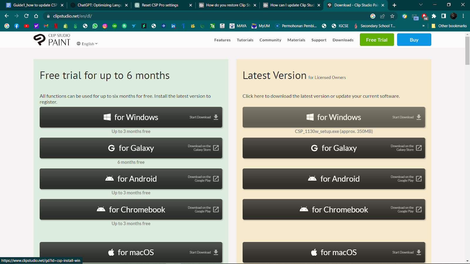 For Windows Option