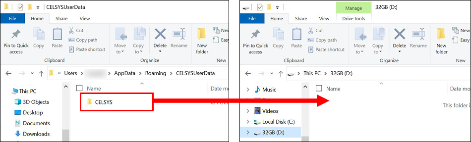 Copy CELSYS Folder To Hard Drive
