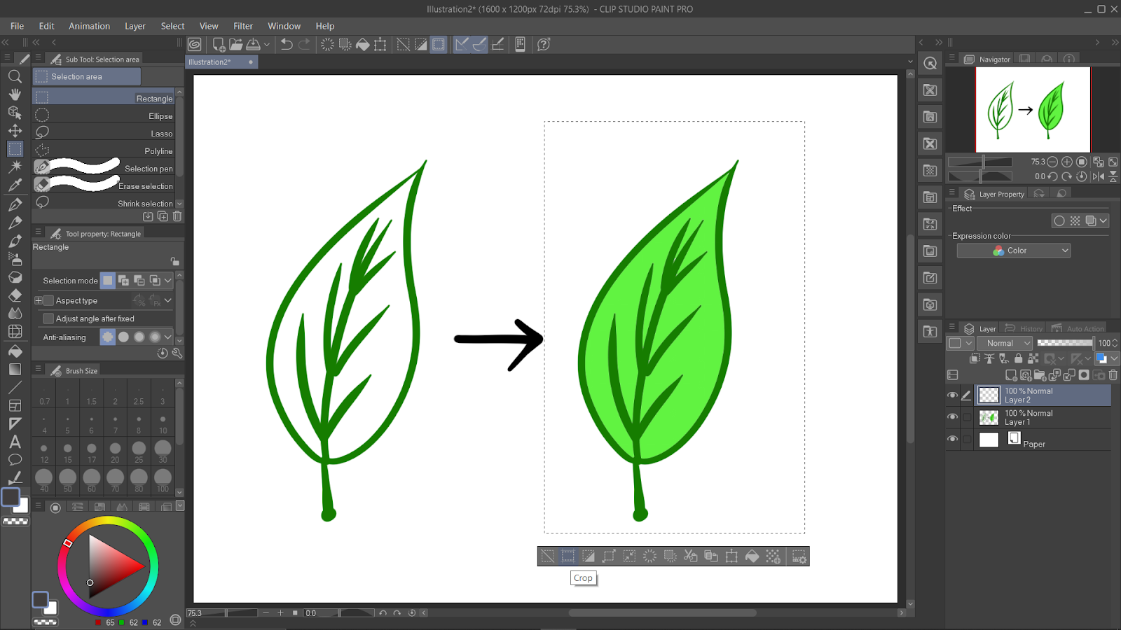 Crop Option in Clip Studio Paint