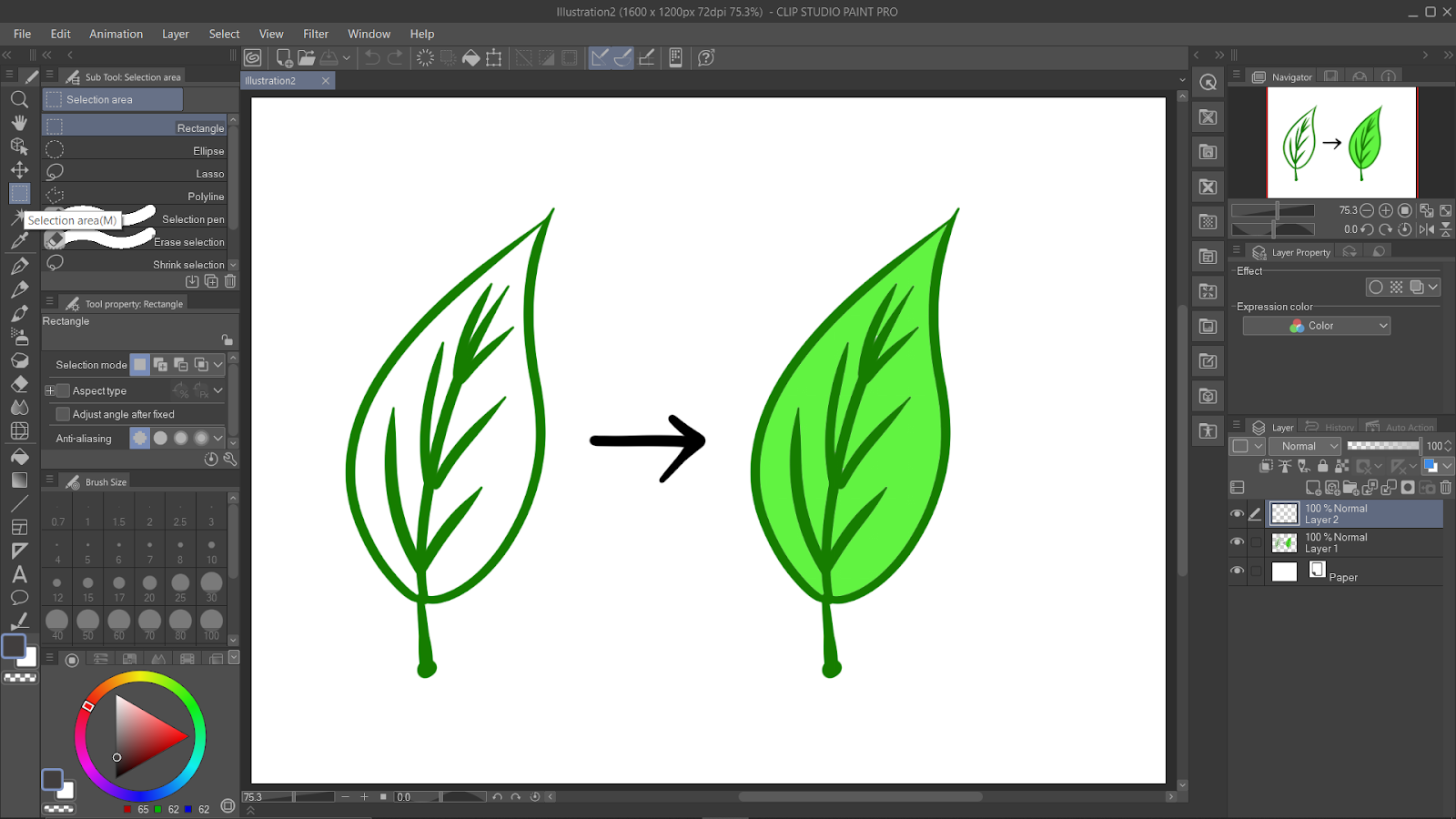 Selection Area in Clip Studio Paint