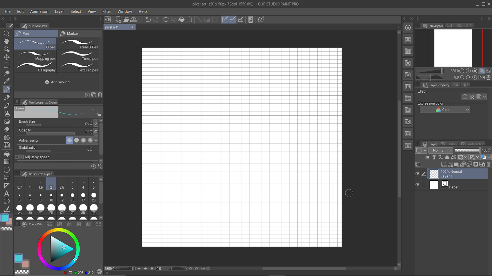 Grid Canvas in Clip Studio Paint