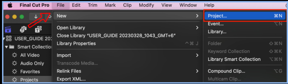Project name 