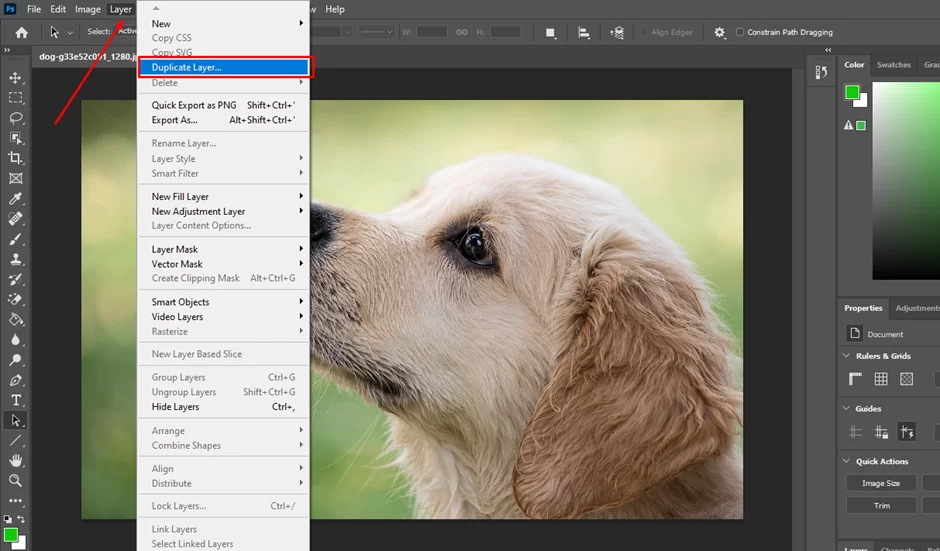 duplicate layer photoshop