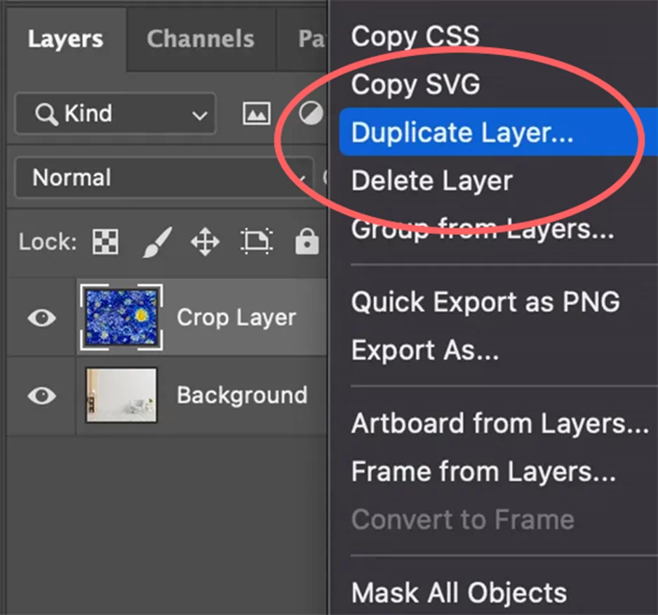 duplicate layer