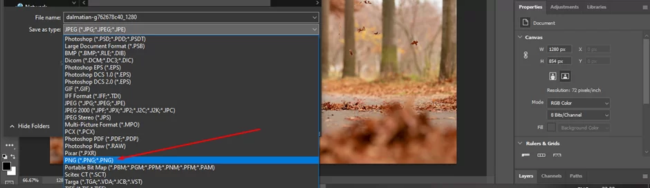 Save Photoshop As PNG In Photoshop