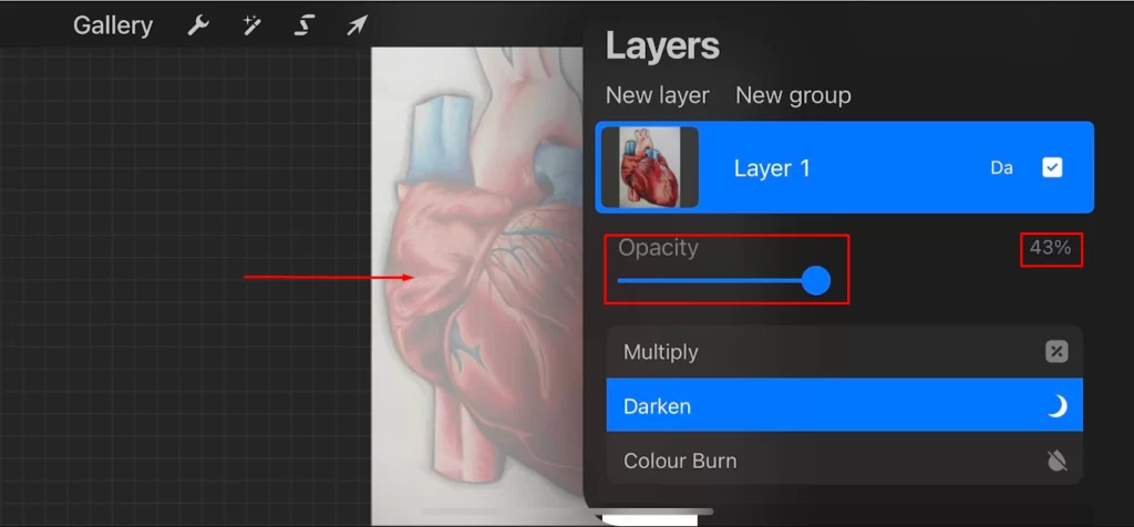 Change The Opacity of a Layer 1 in Procreate