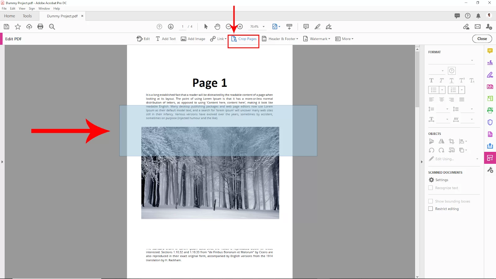 Crop Pages Option