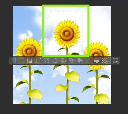 Rectangle For Selecting Flower