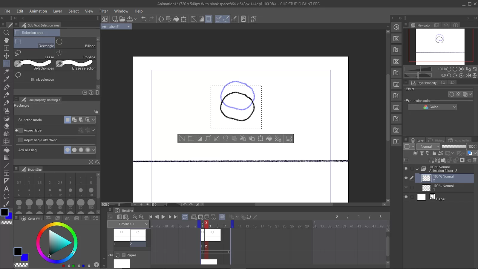 Selection Area Option in Clip Studio Paint
