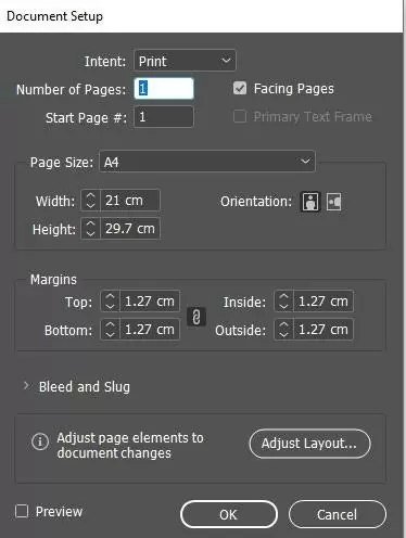 InDesign Document SetUp Panel