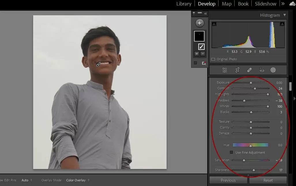 Lightroom Brush Settings